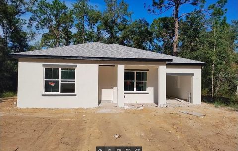 A home in CITRUS SPRINGS