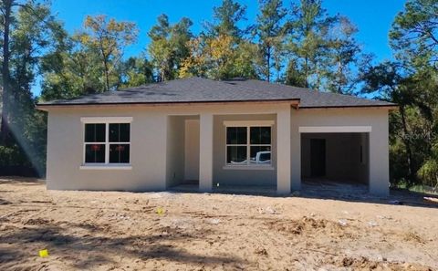 A home in CITRUS SPRINGS