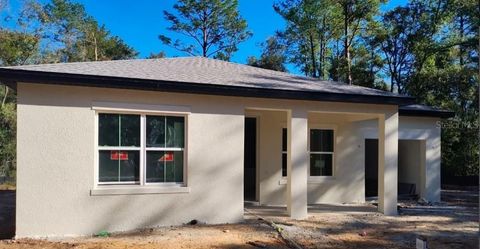 A home in CITRUS SPRINGS