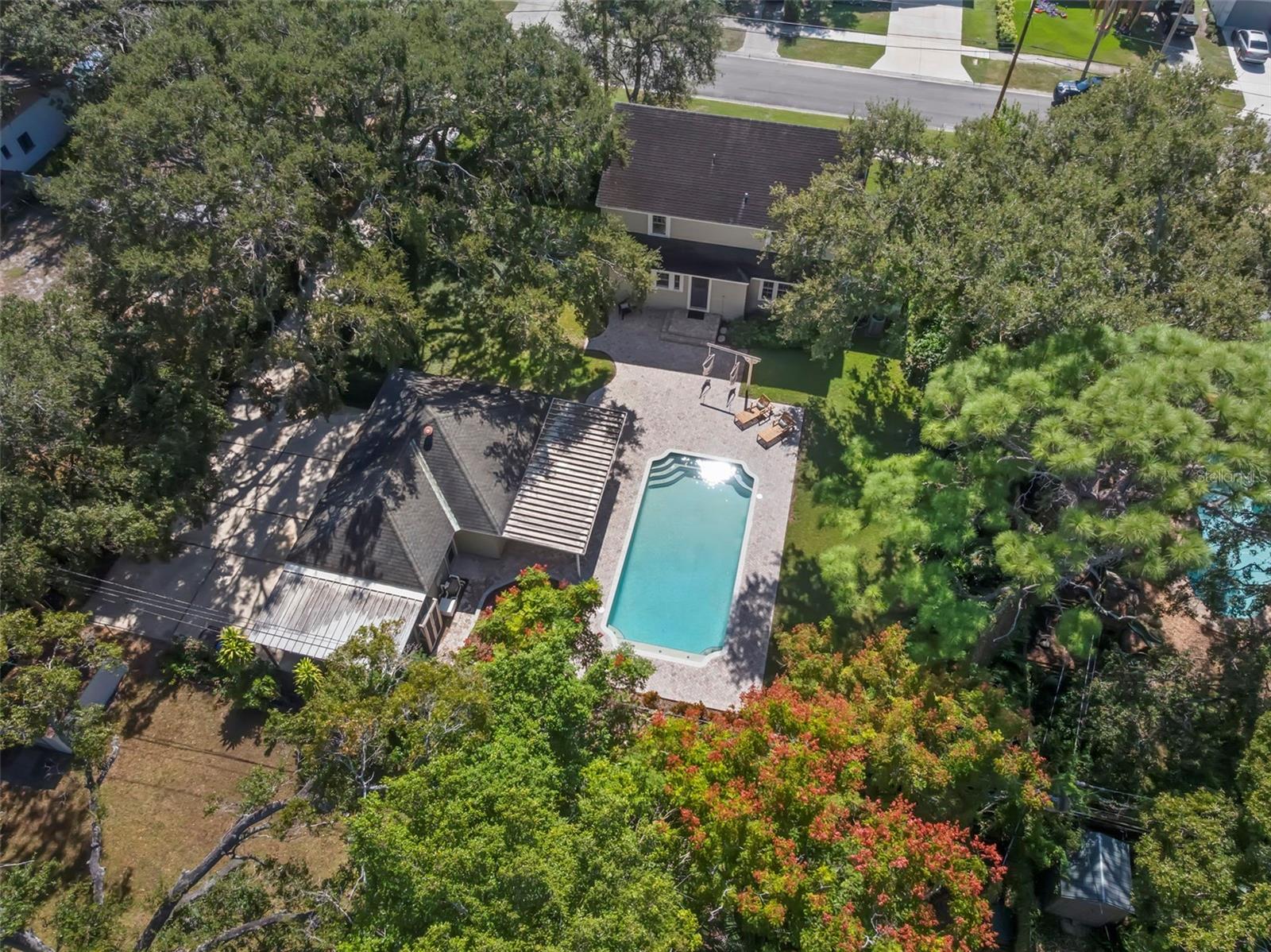 JUNGLE TERRACE SEC C - Residential