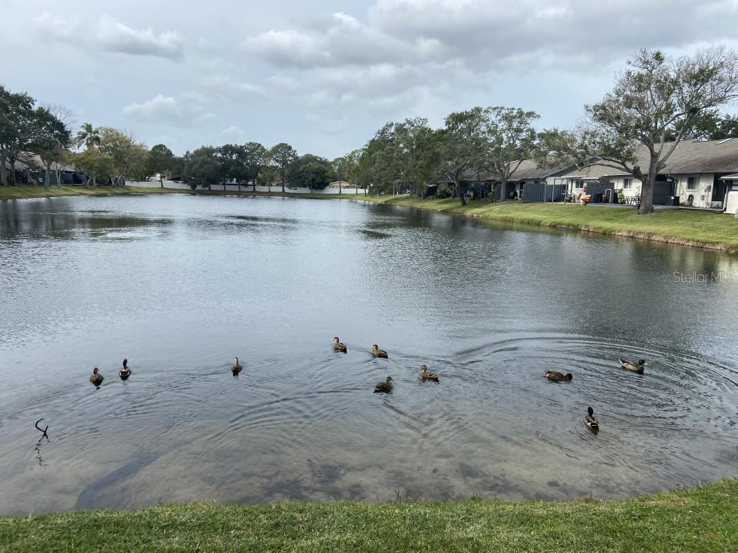 BELLE OAK VILLAS - Residential