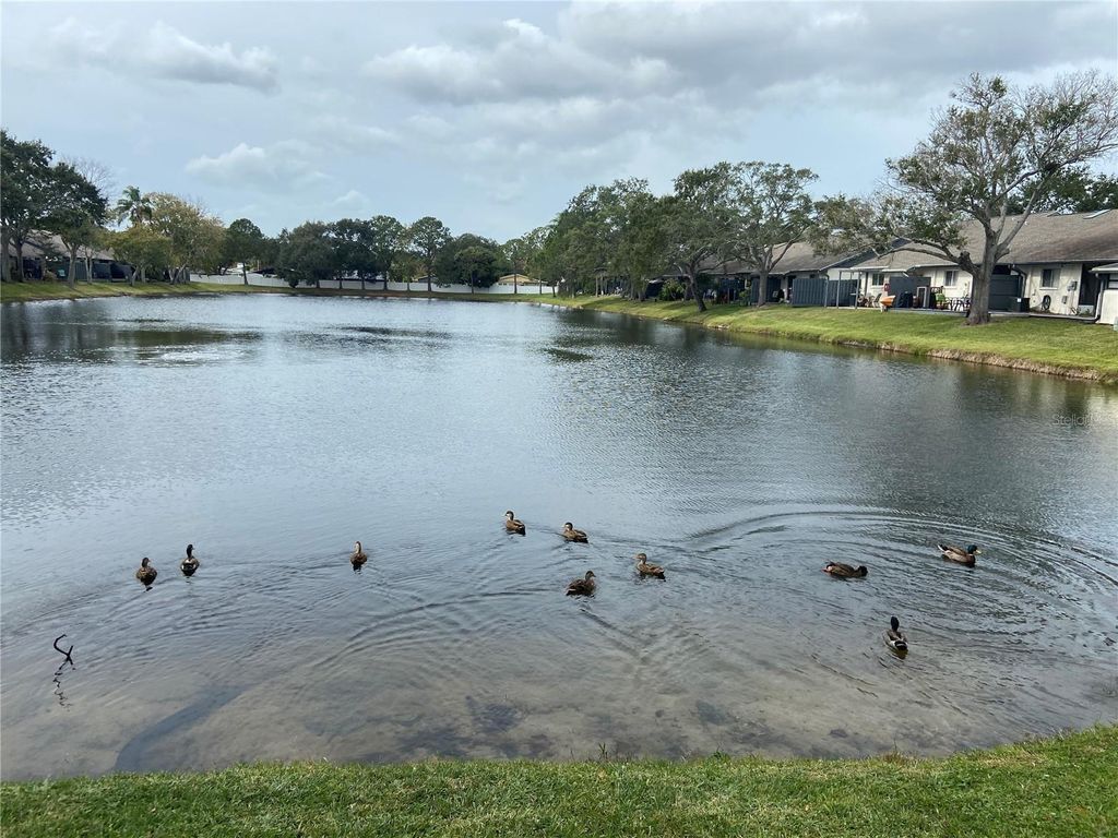 Photo of 3888 El Camino Court, Largo, FL 33771 (MLS # A4670706)