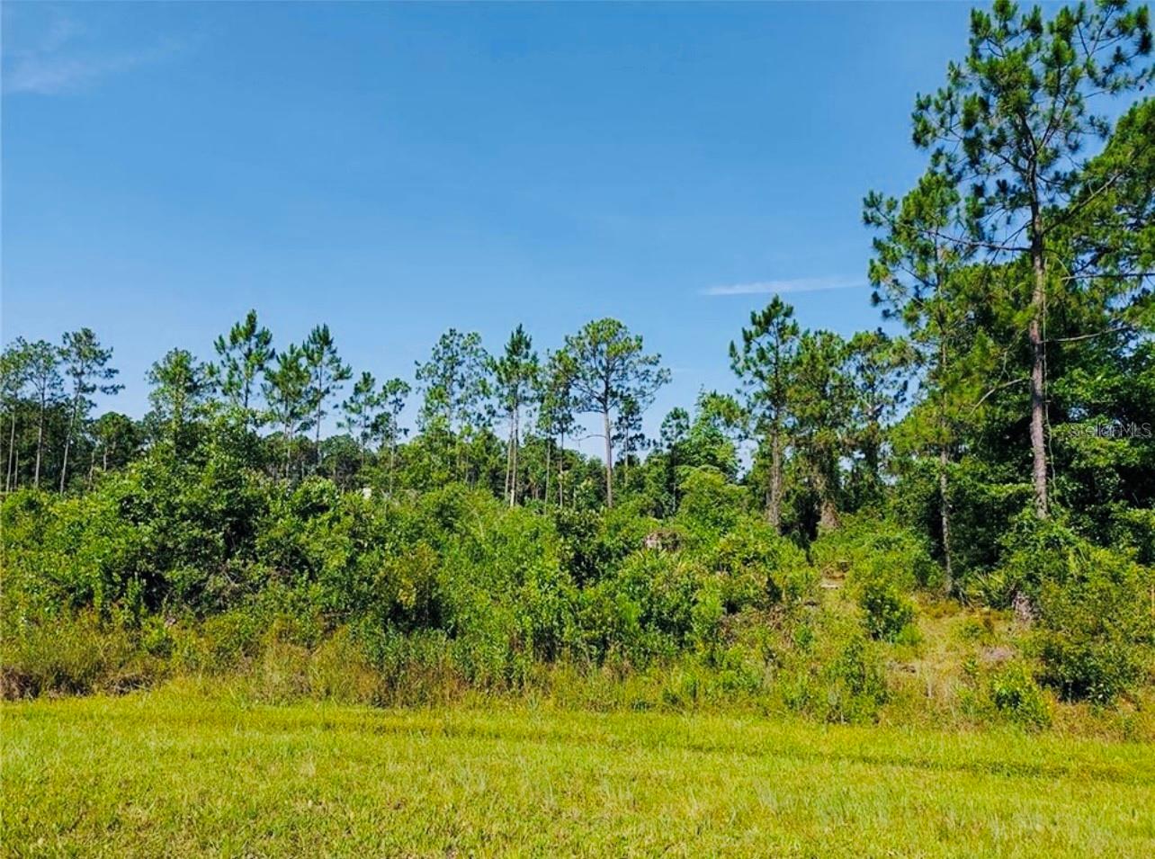 LAKE LOCHLOOSA SHORES - Land