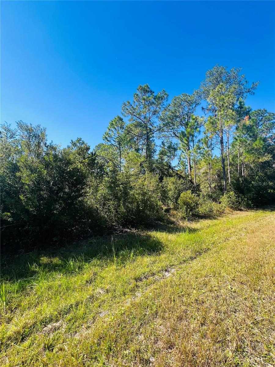 LAKE LOCHLOOSA SHORES - Land