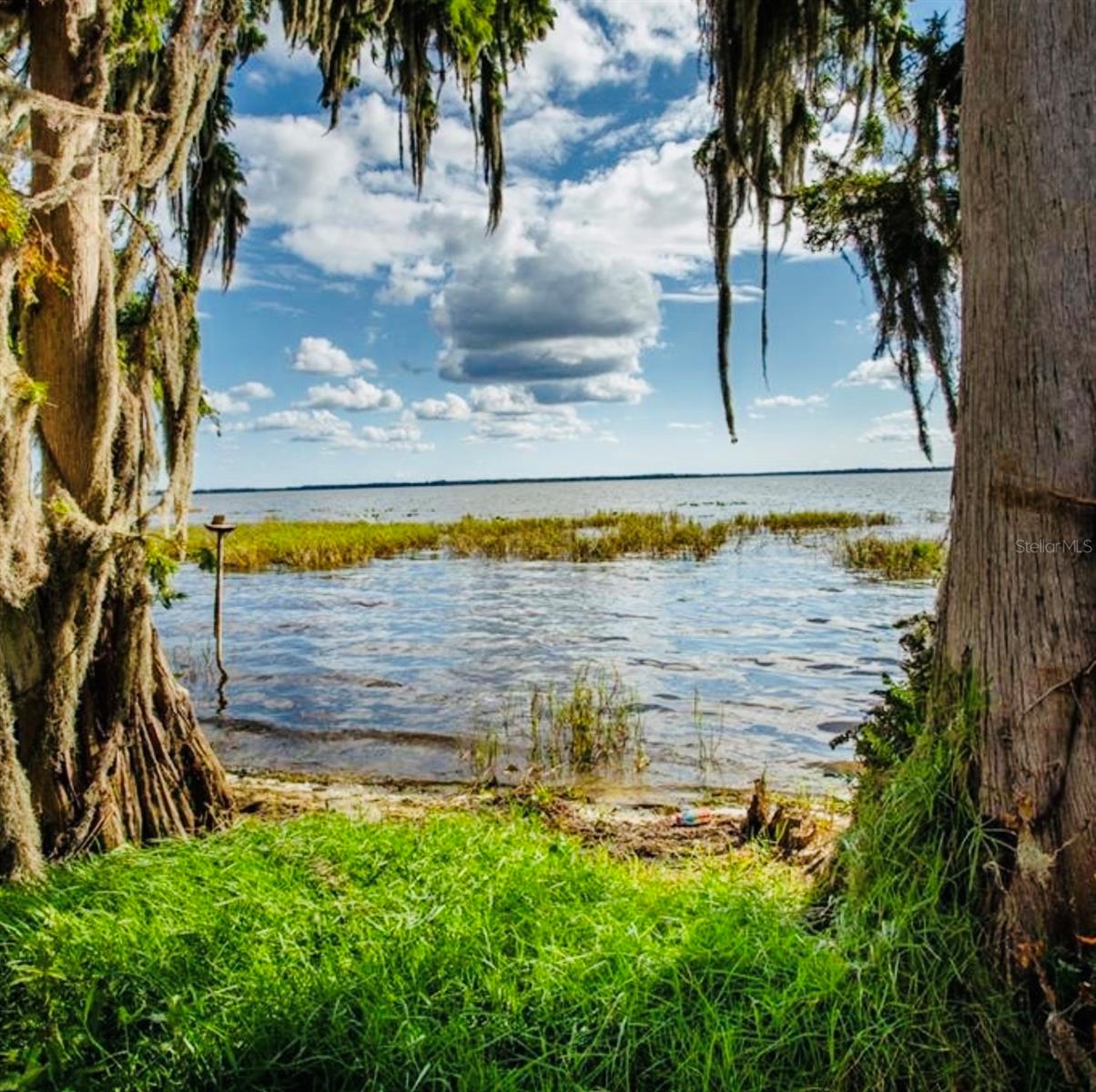 LAKE LOCHLOOSA SHORES - Land