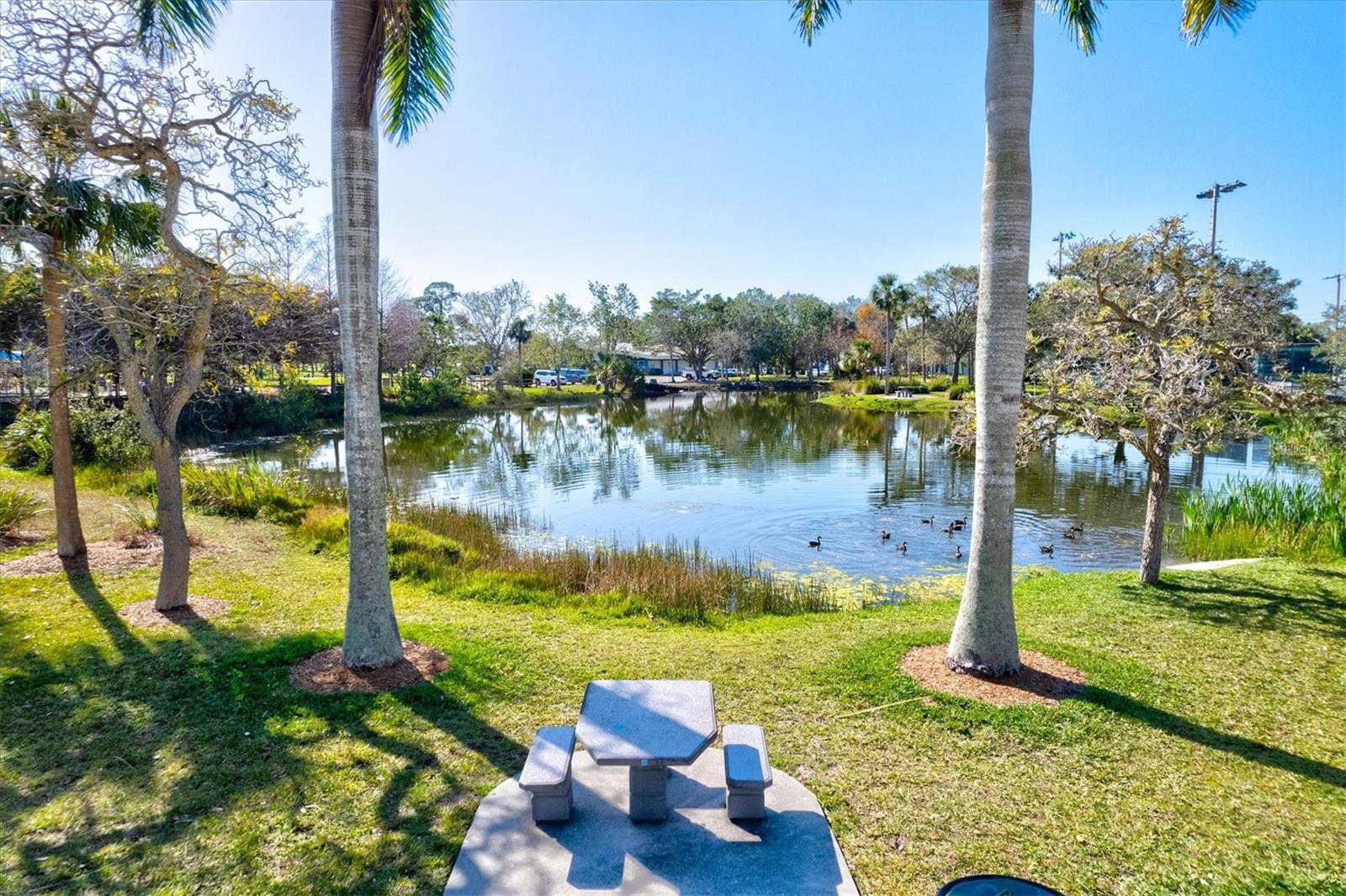 RINGLING BLVD SUB - Residential Lease