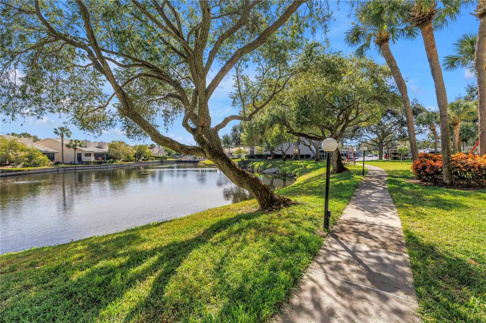 PASADENA COVE CONDO - Residential