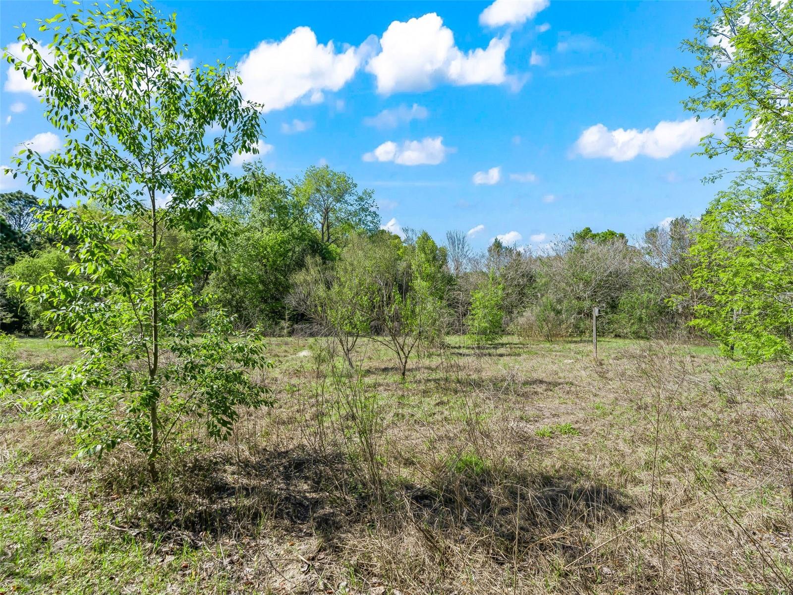 ROCK HOLLOW ESTATE - Residential