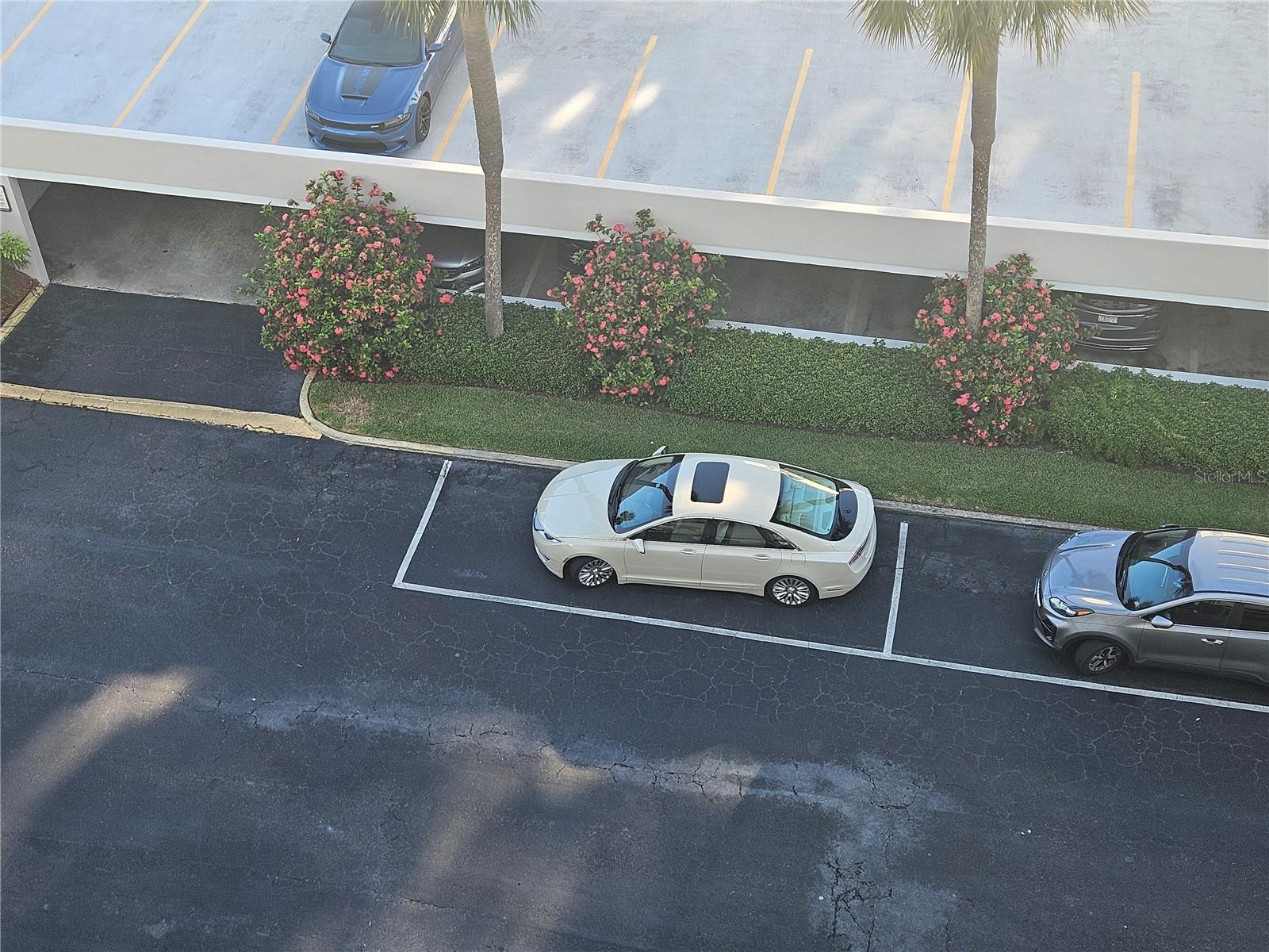 CLEARWATER POINT 7 TENNIS - Residential Lease