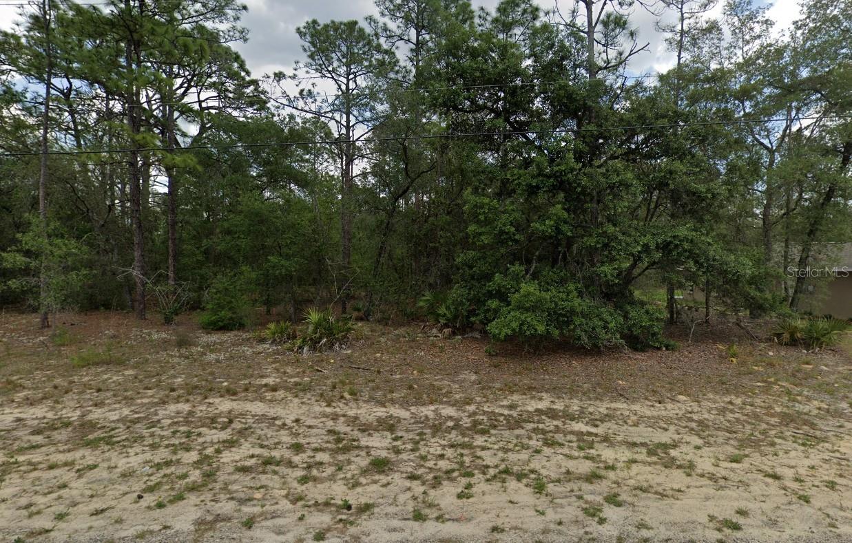 Amazing Vacant Lot in Citrus Springs!
Discover this beautiful lot tucked away on a quiet, private street with well-kept homes nearby — the perfect setting to build your dream home or secure a smart investment. The property is flat, making construction easier and more cost-efficient, while still being just minutes from main roads, schools, shopping, medical facilities, and outdoor recreation.
Citrus Springs is a fast-growing community known for its peaceful environment, no HOA fees, golf courses, parks, and easy access to the Withlacoochee State Trail for biking and walking. Its convenient location also provides quick drives to Ocala, Crystal River, and the Gulf Coast.
With growth and development on the rise, this lot offers both lifestyle and investment potential.