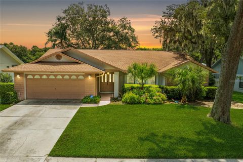 A home in VALRICO