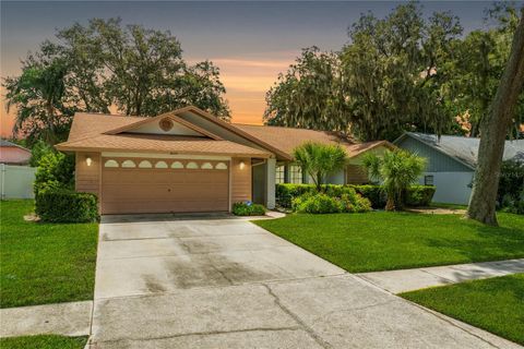 A home in VALRICO