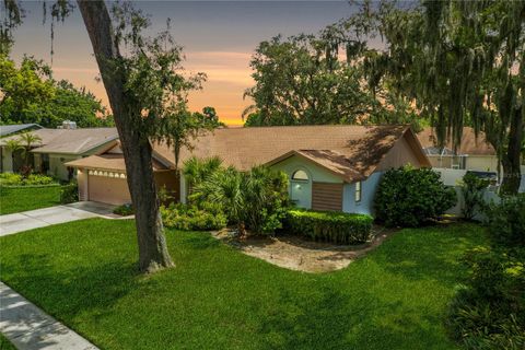 A home in VALRICO