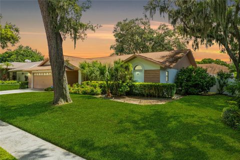 A home in VALRICO