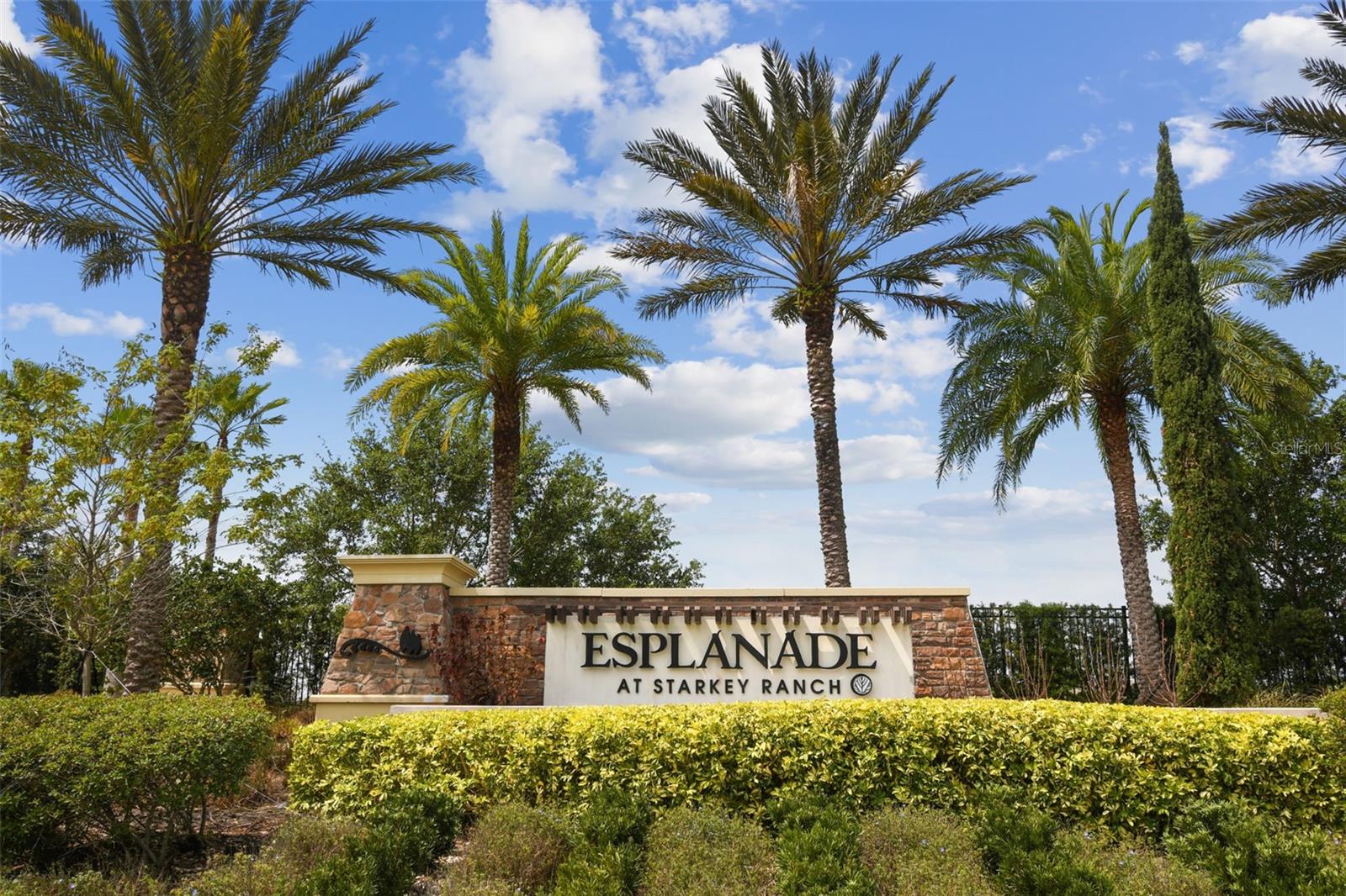 11503 CALLISIA DRIVE