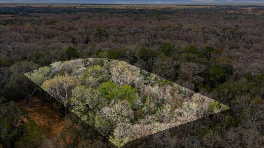 Build your dream home on this beautiful 1.22-acre homesite tucked away in a peaceful, wooded setting just off Hwy 44 in Inverness. This spacious parcel offers approximately 169’ of frontage by 317’ deep, providing plenty of room for your custom home, outdoor living, and all your toys while still maintaining privacy and tranquility. Enjoy the best of Florida’s Nature Coast lifestyle with easy access to the Withlacoochee River and nearby boat ramp, perfect for fishing, airboating, kayaking, and exploring the surrounding wetlands. Located less than 10 minutes from downtown Inverness, you’ll have quick access to shopping, dining, schools, medical facilities, and the Withlacoochee State Trail. This homes-only community (no mobile homes) makes it an ideal location for a site-built residence in a quiet, low-traffic area surrounded by wildlife and natural beauty. Whether you’re looking to build now or invest for the future, this property offers an excellent opportunity to own acreage in a growing area of Citrus County.