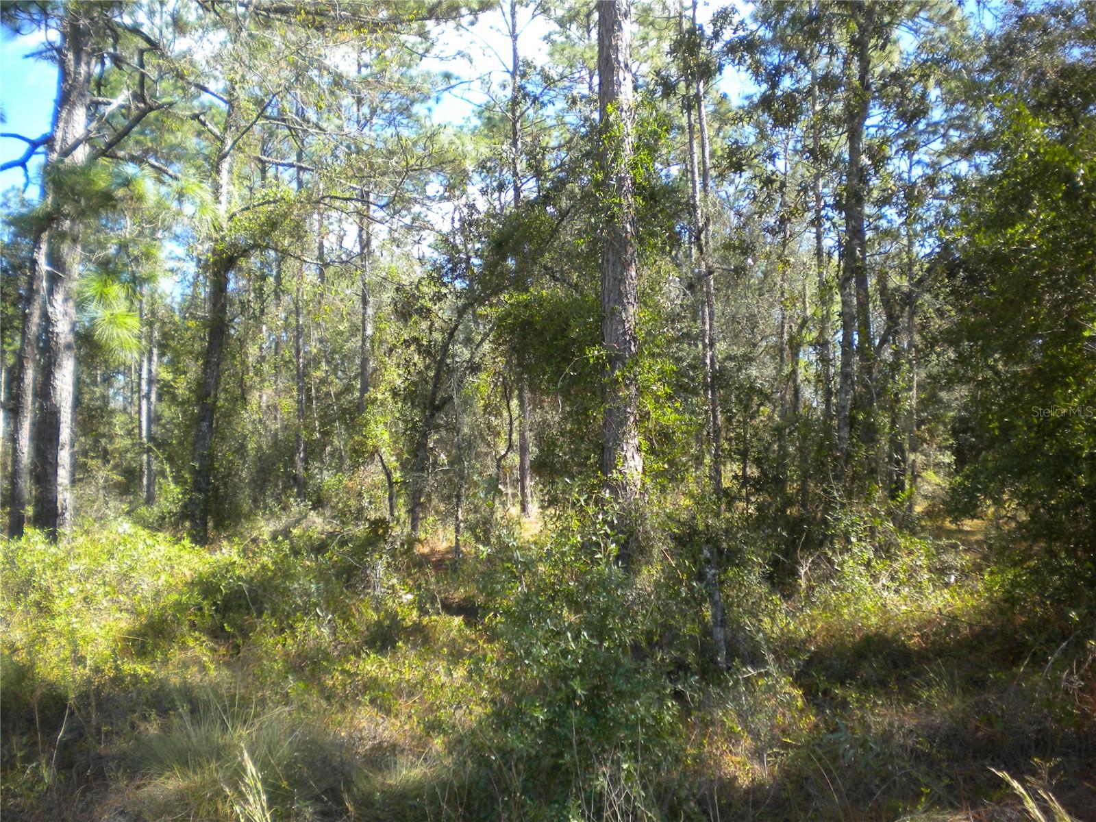 RAINBOW LAKES ESTATE - Land