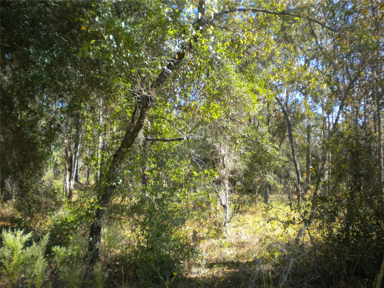 RAINBOW LAKES ESTATE - Land