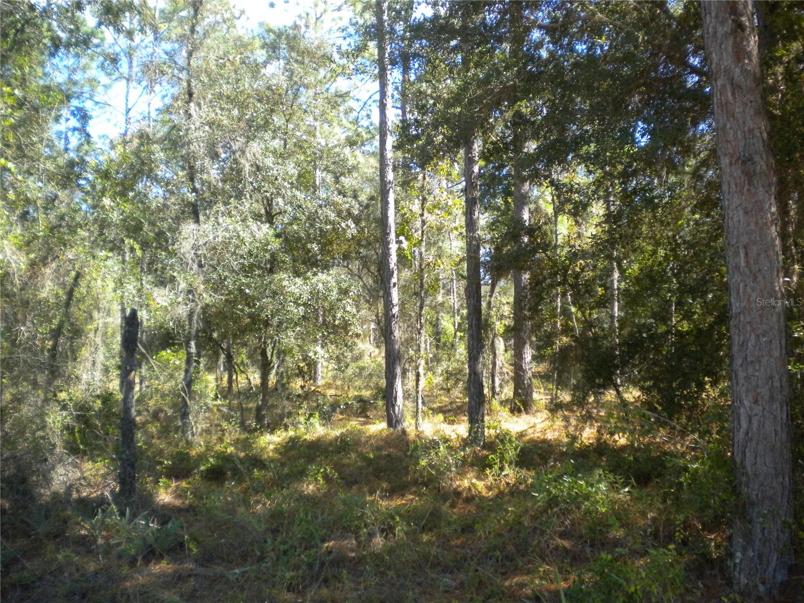 RAINBOW LAKES ESTATE - Land