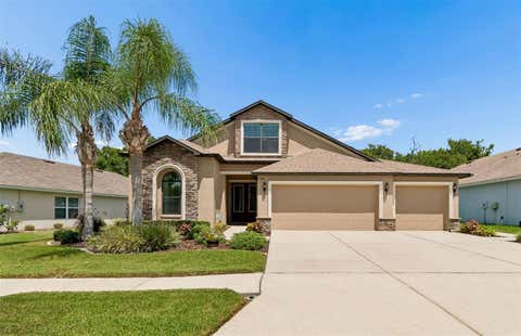 Photo of 6601 Sparkling Way, Wesley Chapel, FL 33545 (MLS # TB8524691)