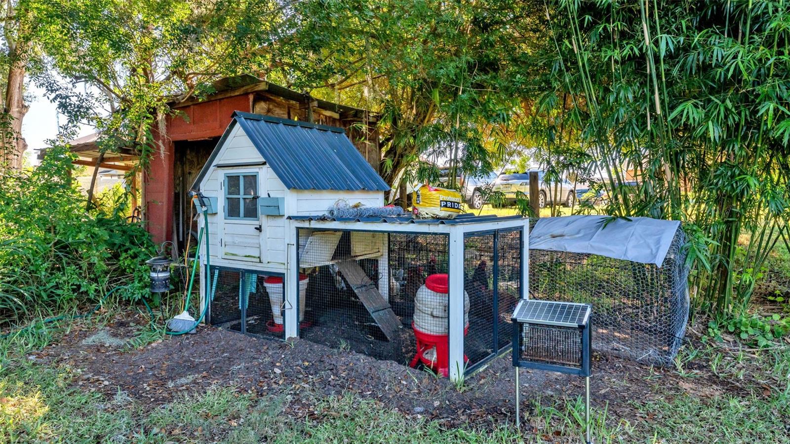 BUCKEYE HEIGHTS - Residential