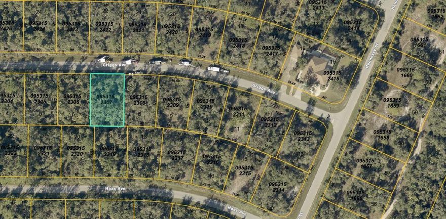 Nice, wooded home site located on a quiet street with electricity along the access road. The Sumter Boulevard and Interstate 75 intersection is convenient as is shopping at the Sumter Boulevard and Price Boulevard intersection. Fantastic value for this North Port plot with electricity on site as other similarly priced typically do not!