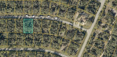 GRIGGS AVENUE NORTH PORT FL 34291