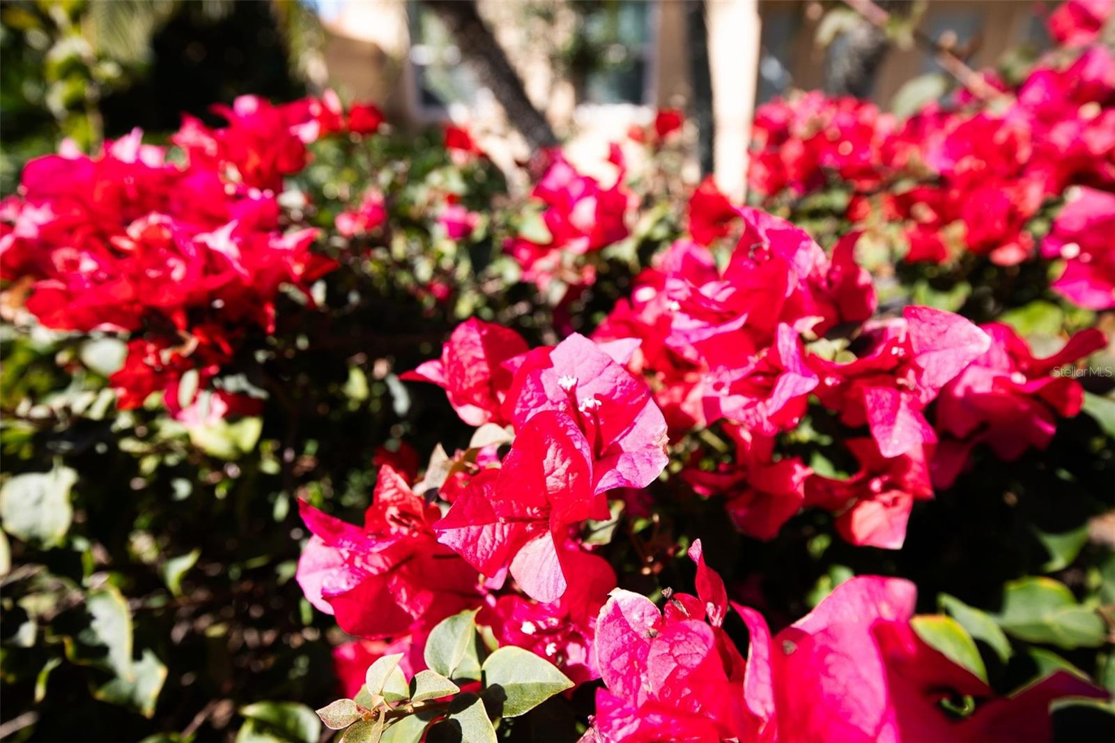 LAKEBRIDGE SOUTH PH A & B - Residential