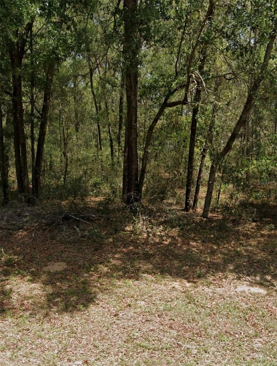 Excellent Lot on paved road in the growing subdivision of Citrus Springs. Deed restrictions. Check with county for information.  46-mile paved Withlacoochee State Trail for biking, hiking and great nature walks.  Nearby mayor supermarkets and mayor stores.  Many shops and restaurants are nearby.