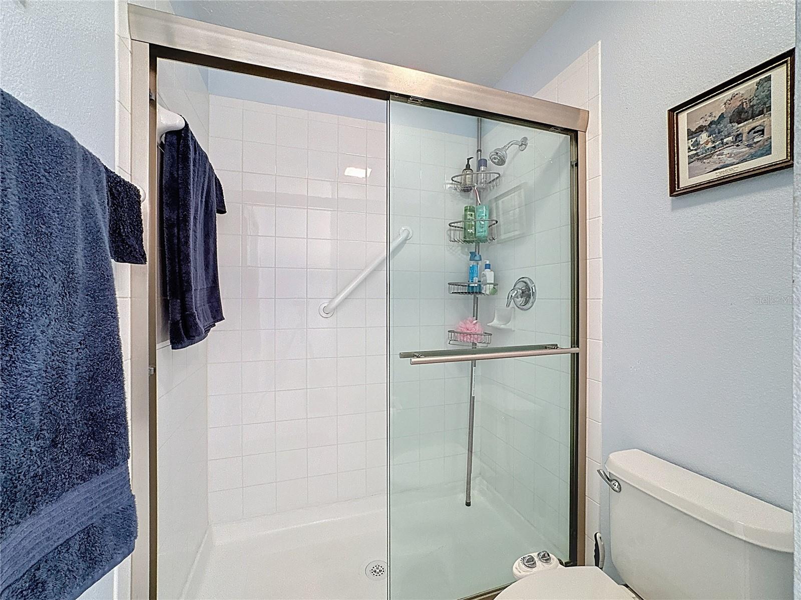 PINESTONE AT PALMER RANCH - Residential