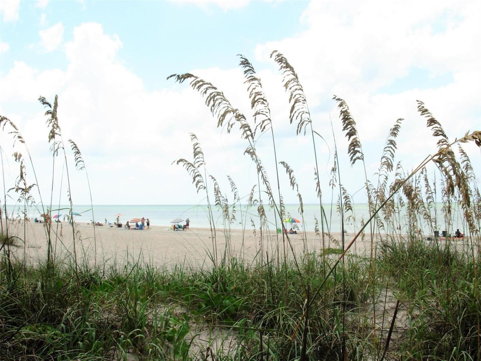 BEACHWALK BY MANASOTA KEY PH - Residential