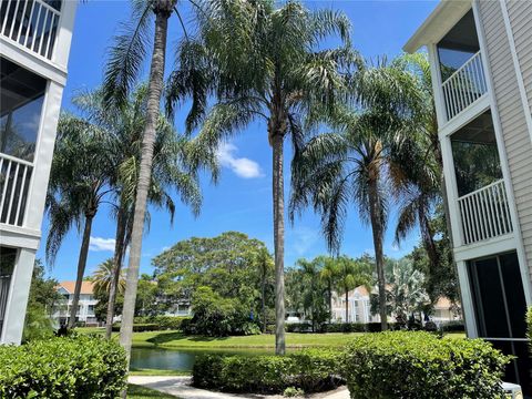 A home in SARASOTA