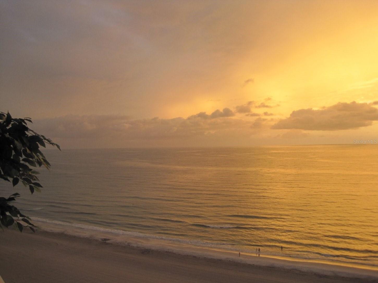 CRESCENT BEACH CLUB TWO CONDO - Residential Lease