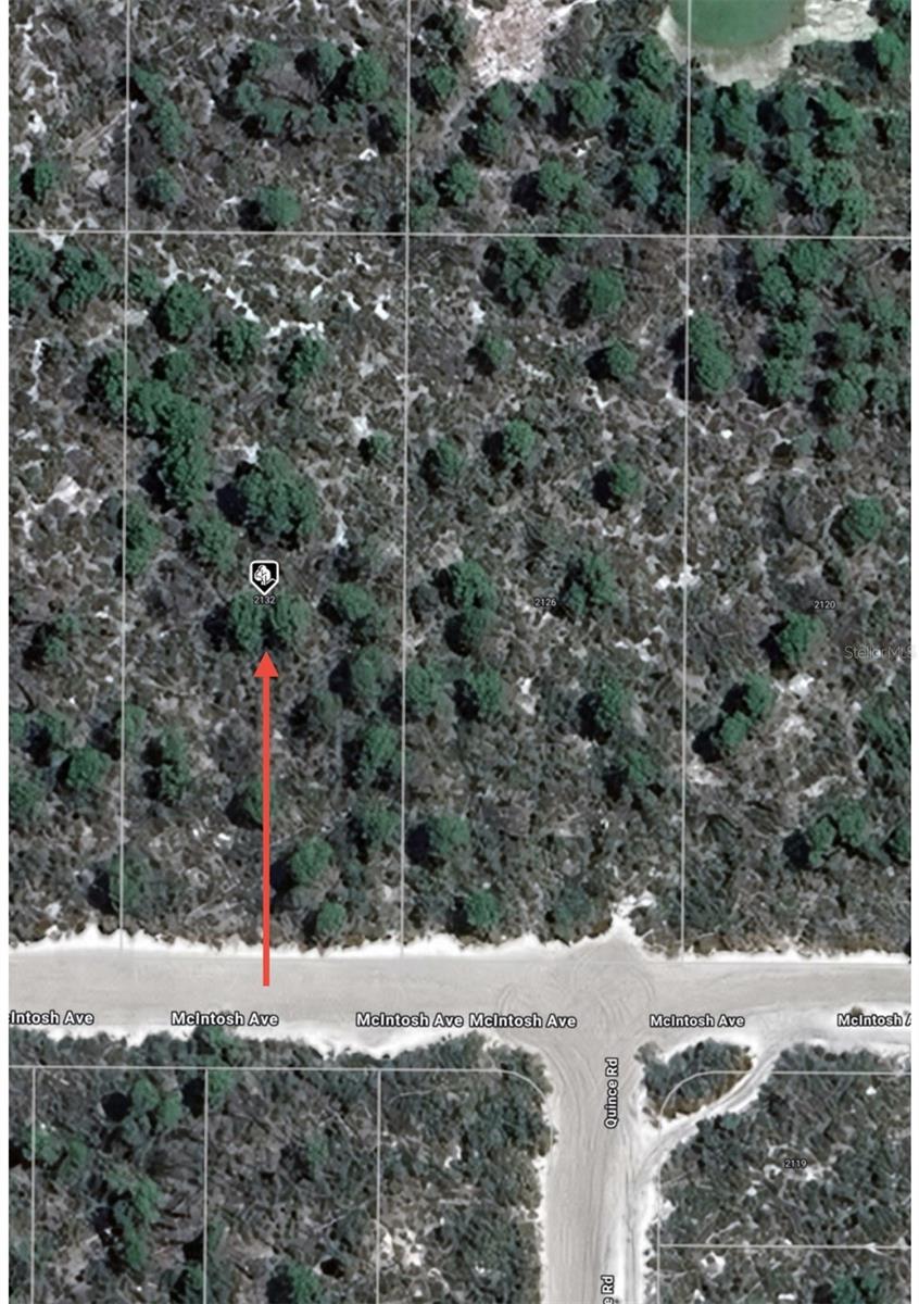 ORANGE BLOSSOM ESTATE - Land