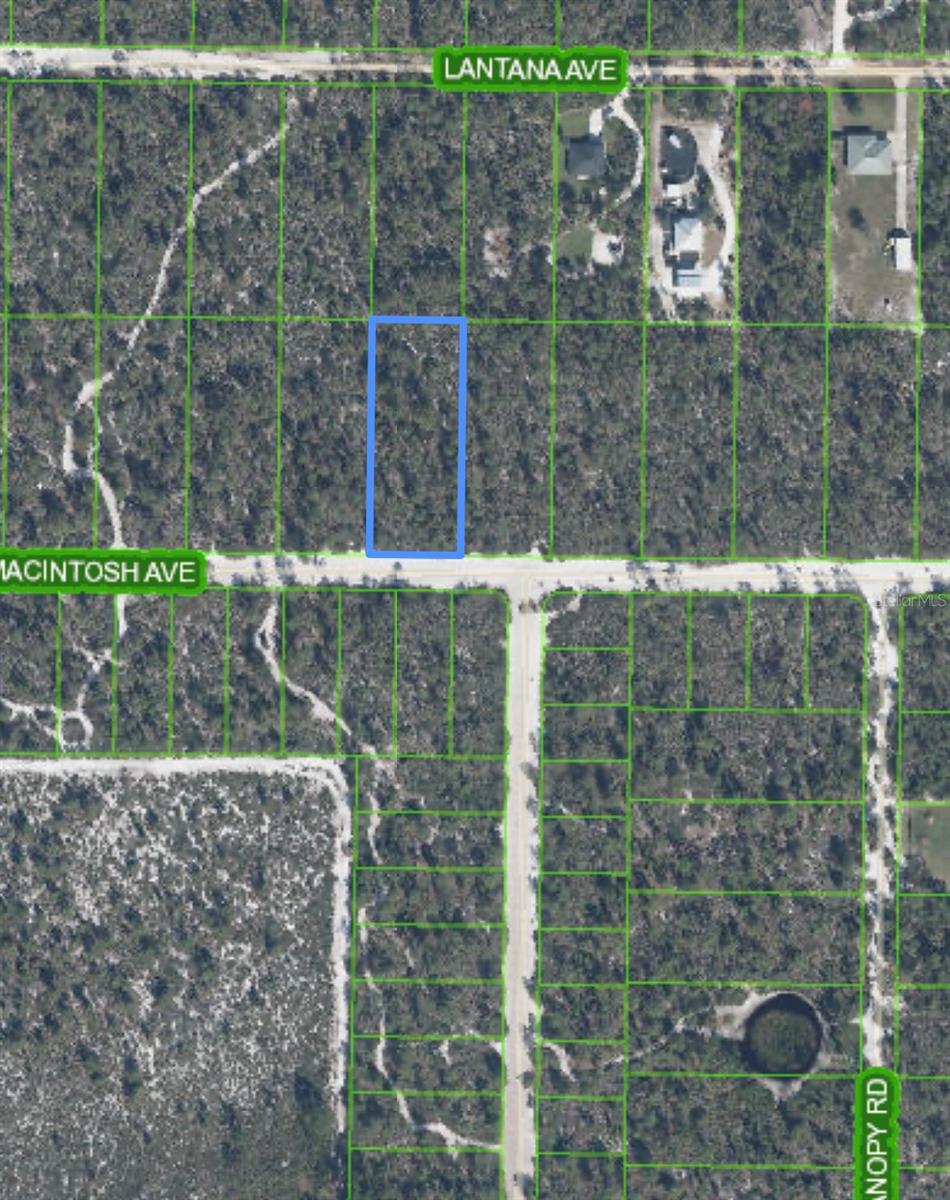 ORANGE BLOSSOM ESTATE - Land