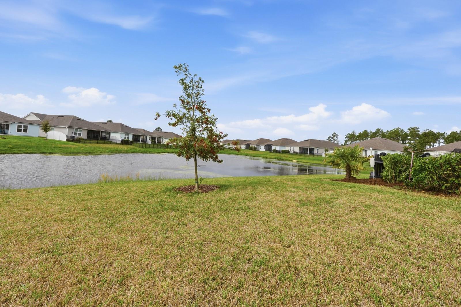 SAWMILL BRANCH/PALM COAST PARK P - Residential