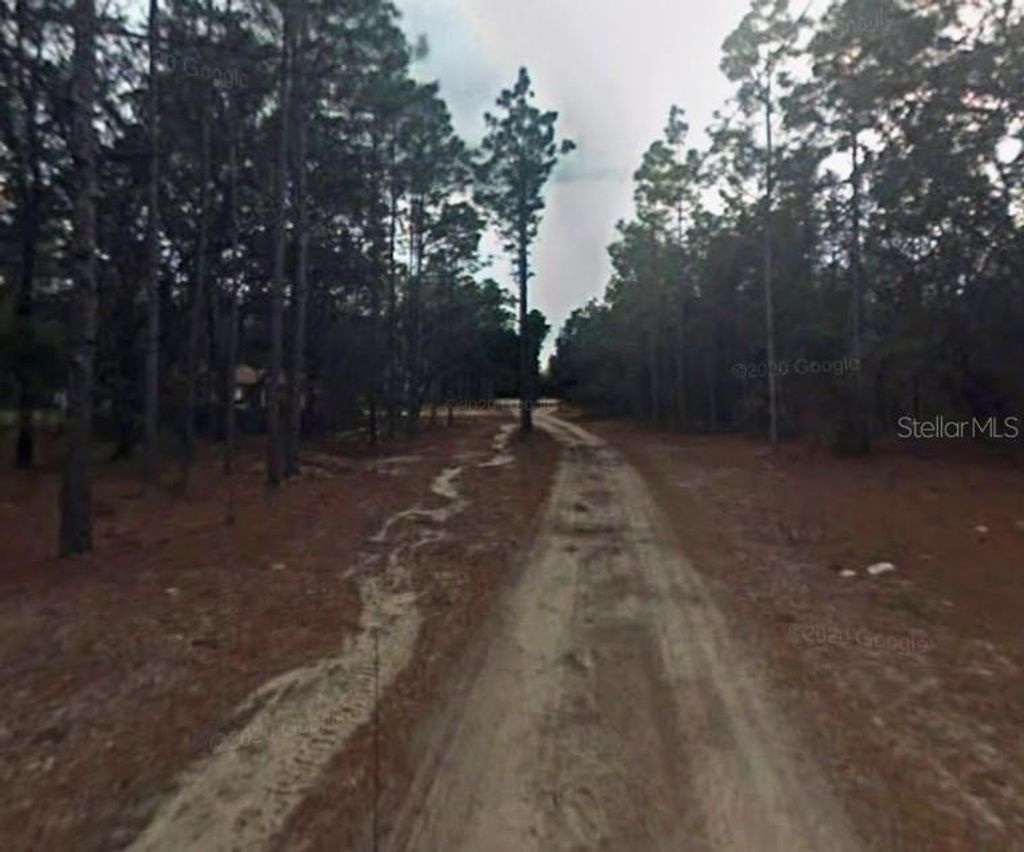 Photo of 3858 S Osprey Point, Inverness, FL 34450 (MLS # OM716344)