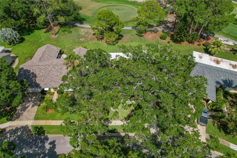 A home in PALM HARBOR