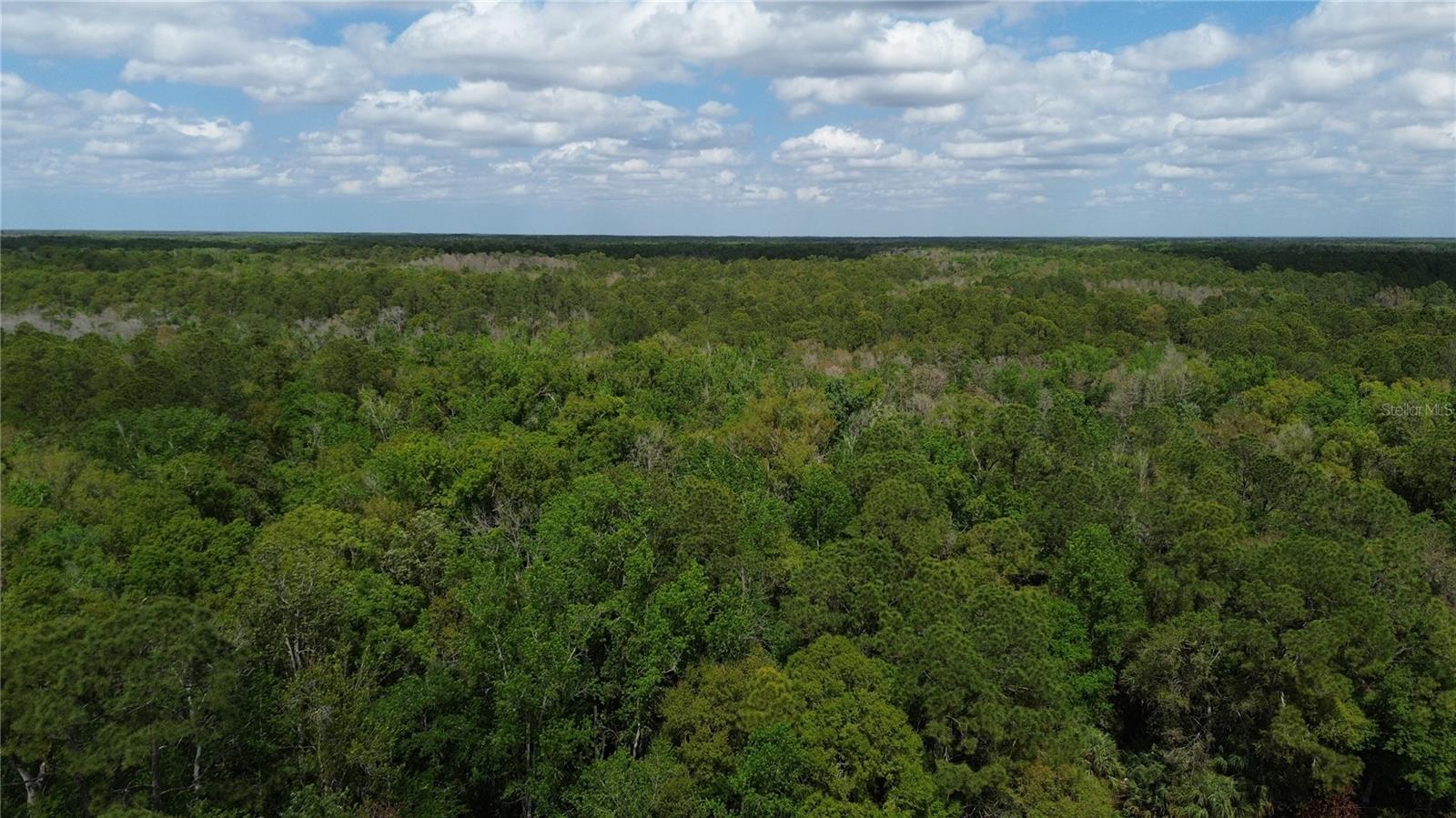 TAMPA DOWNS RANCHETTES UNREC - Land