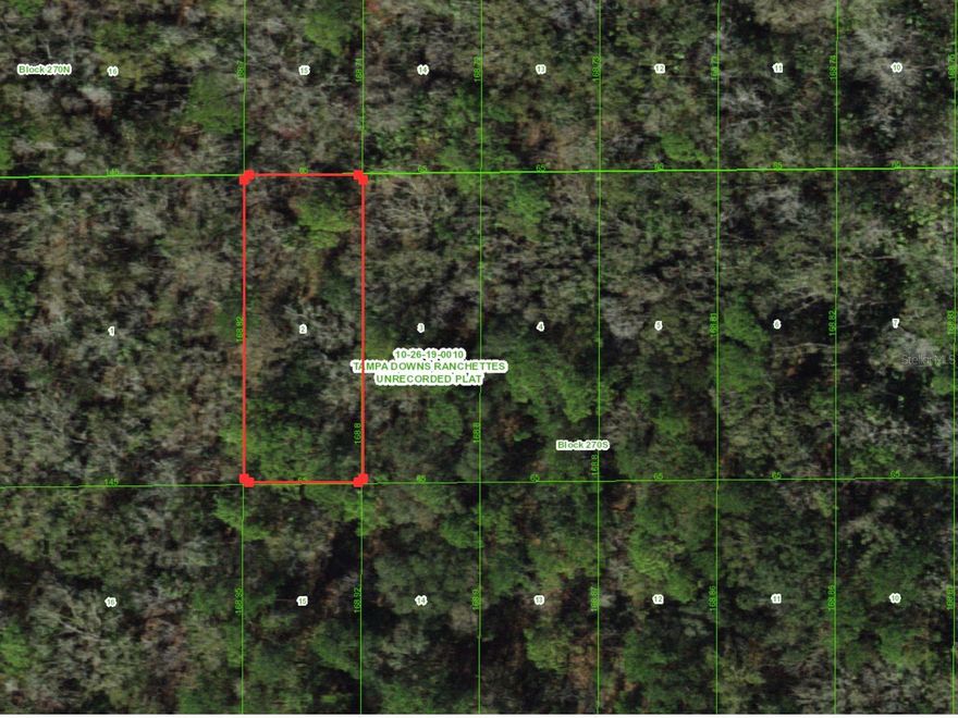 Rare opportunity in the Tampa Downs Ranchettes area of Wesley Chapel. Four consecutive vacant lots are available, each approximately 0.25 acres, with the option to purchase individually or together for a total of about 1 acre.

Located in a quiet, wooded setting in growing Pasco County, this property offers a natural environment while still within driving distance of shopping, dining, and major roadways.

Parcels are zoned Agricultural (AC) and are located within a flood zone, AE. Environmental mapping indicates wetlands may be present. The legal descriptions reference an ingress and egress easement; however, there are currently no constructed roads providing direct access to the lots. Buyers should conduct their own due diligence regarding wetlands, access improvements, and potential development requirements with the appropriate agencies.

Purchase one lot or secure all four for approximately 1 acre in this unique area.