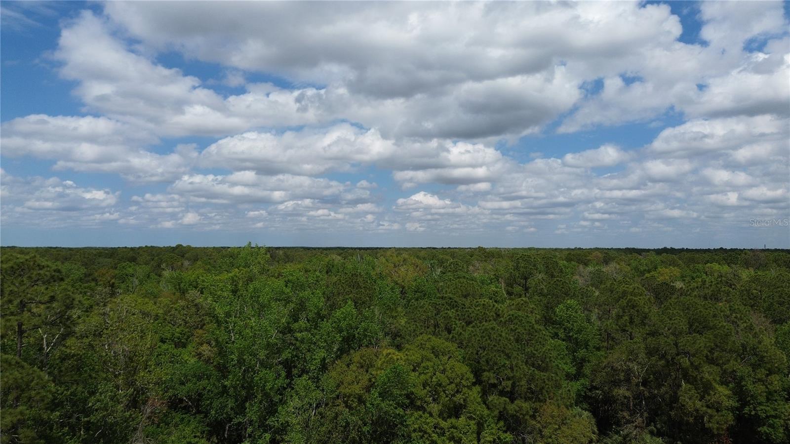 TAMPA DOWNS RANCHETTES UNREC - Land