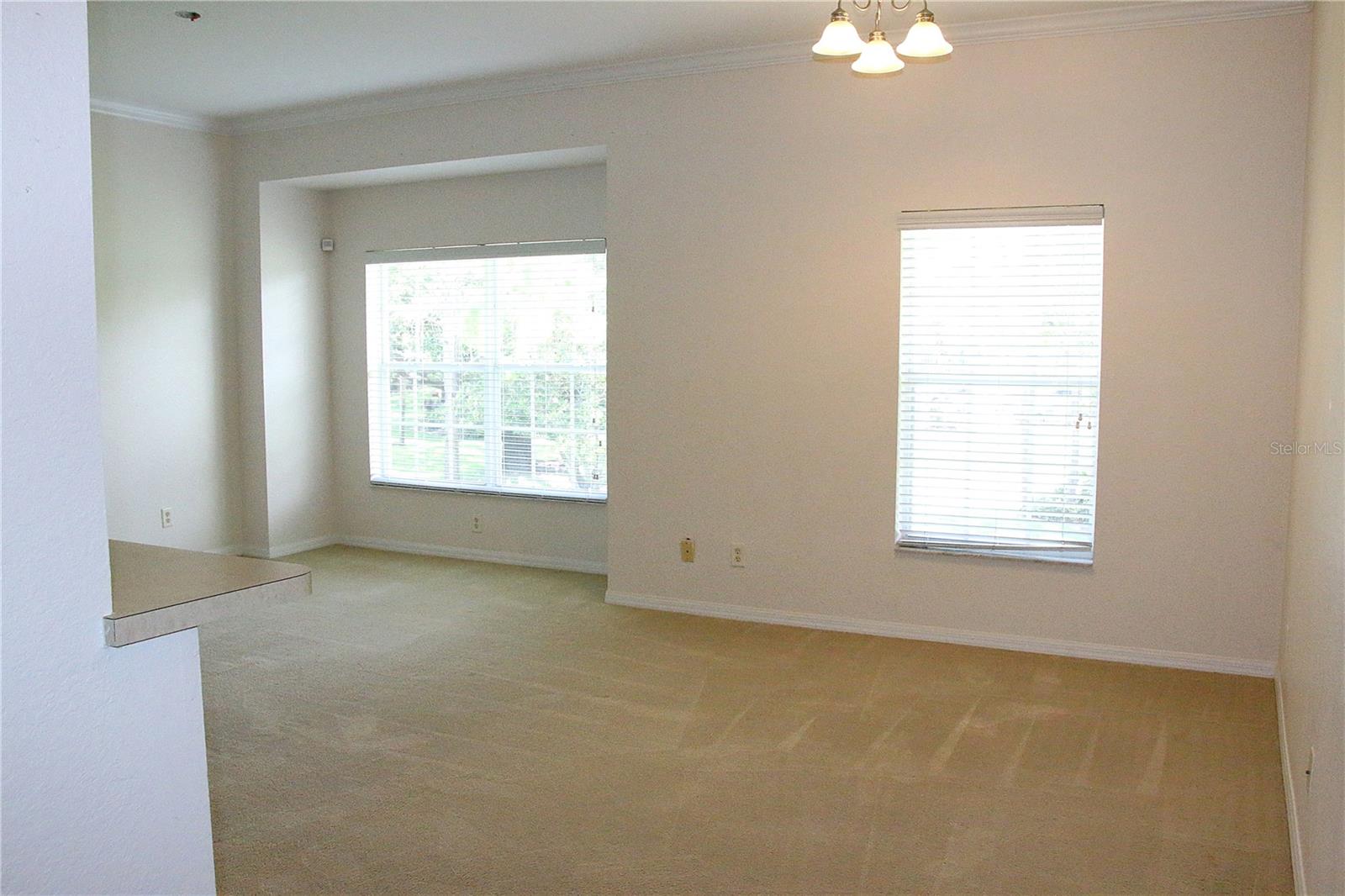 1606 EAGLE POND DRIVE