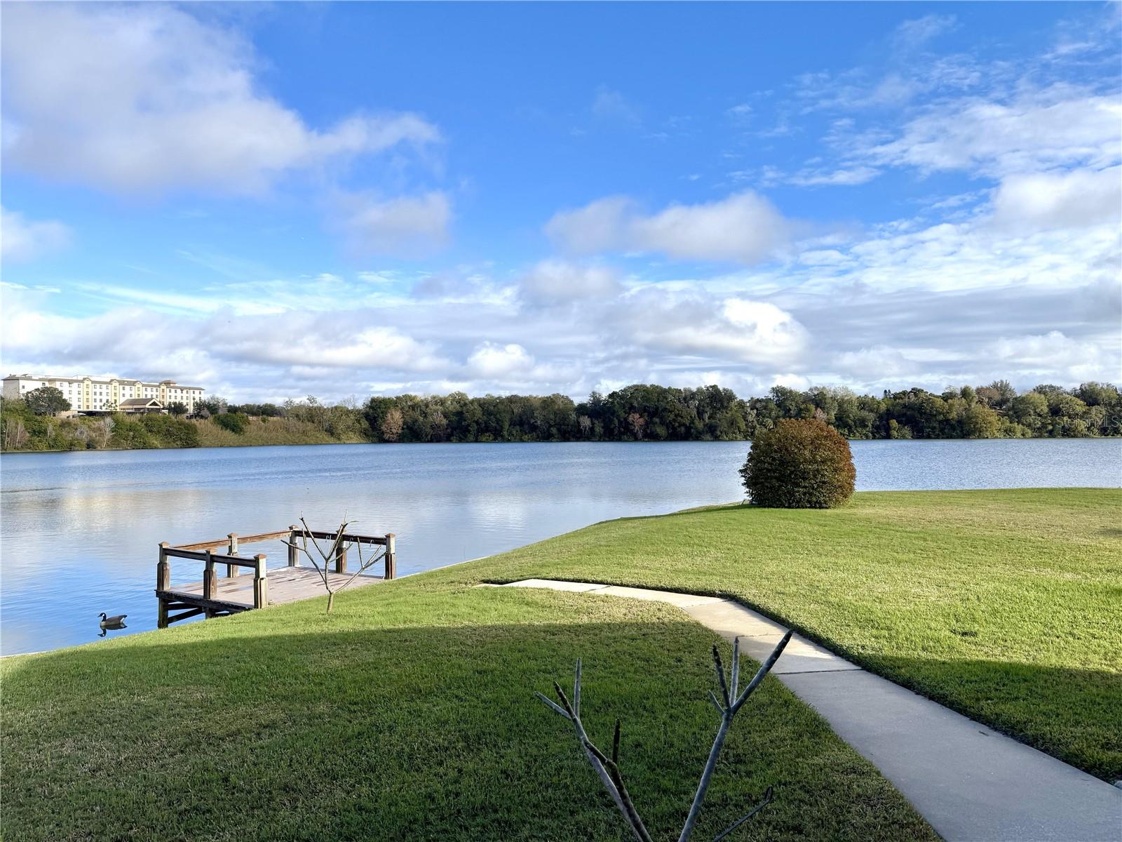 TAVARES LAKE FRANCES ESTATES - Residential