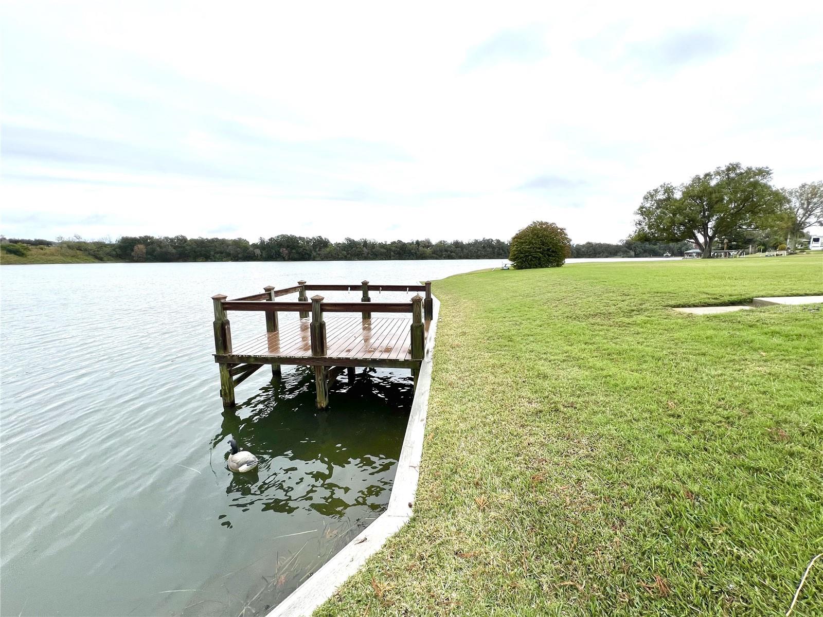 TAVARES LAKE FRANCES ESTATES - Residential