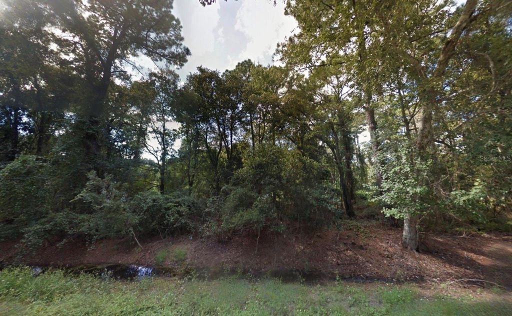 Photo of 9th Avenue, Deland, FL 32724 (MLS # TB8481597)