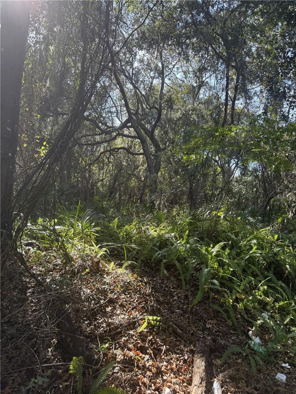 Photo of E Franklin Street, Oviedo, FL 32765 (MLS # O6387971)