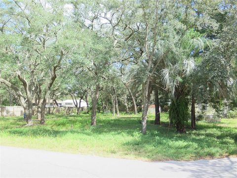 A home in HOMOSASSA