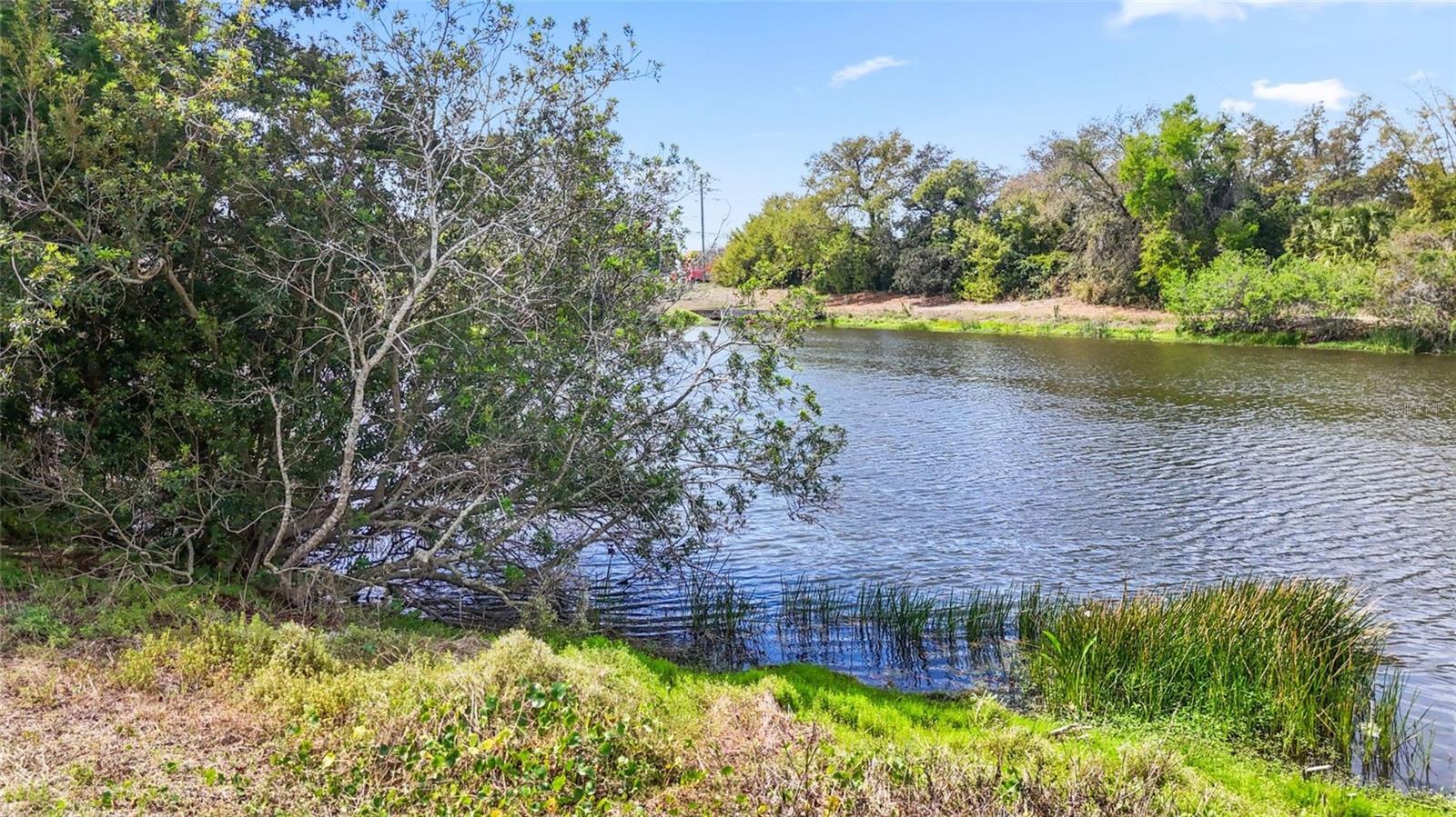 DIXIE PARK - Residential