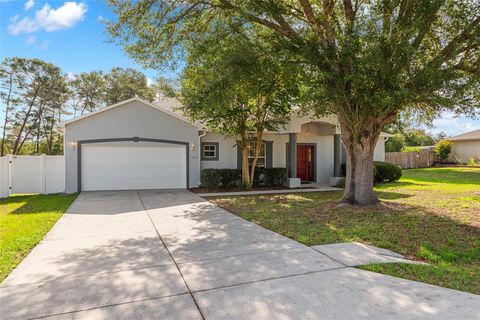 Photo of 10877 SW 45th Court, Ocala, FL 34476 (MLS # OM724966)