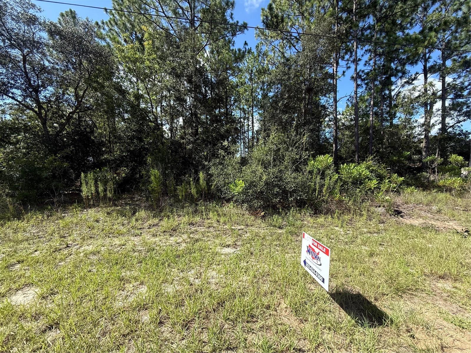 Come build your dream home, in the beautiful Citrus Springs. 0.27 acres gives you ample space to build your amazing home. This seller has 2 lots for sale, side by side. Total acreage for both is 0.55 acres if looking for extra space. Make Citrus Springs your new home.